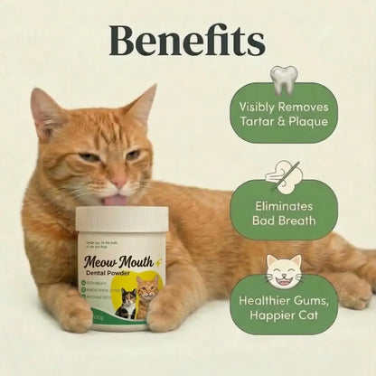 Meow Mouth