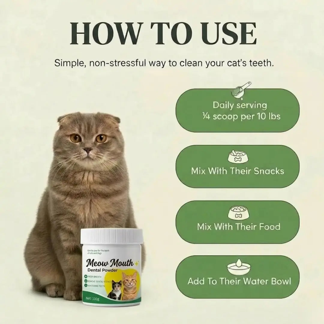 Meow Mouth