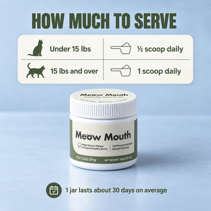 Meow Mouth
