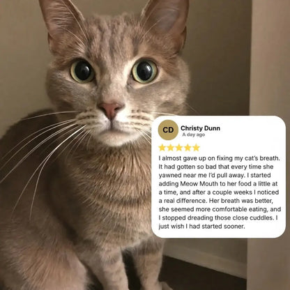 Meow Mouth
